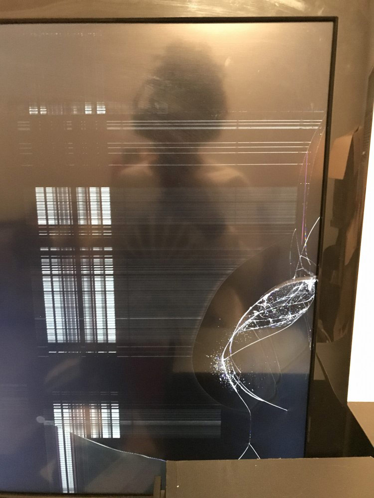 Photo by Nikita of Real Movers Moving And Storage - Large