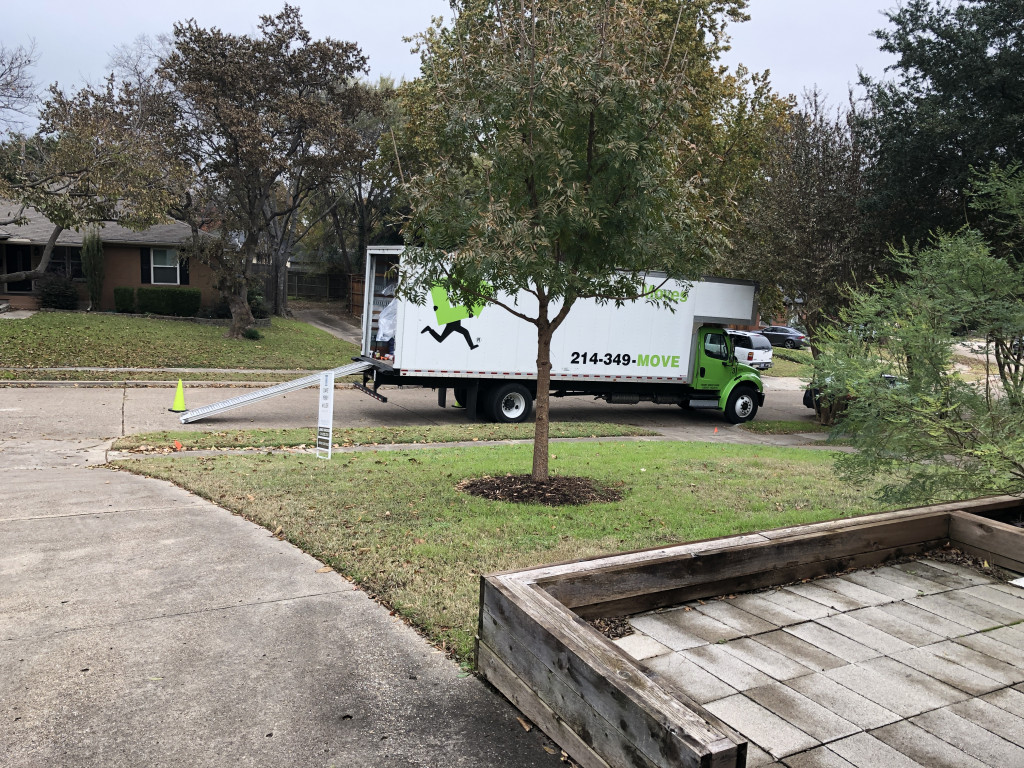 Photo by Rebecca Cribbin of Fantastic Moves - Large