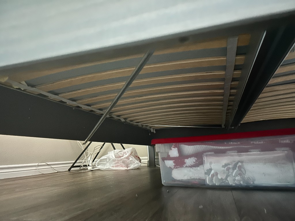 Photo by Leticia A Mathis of Movers of San Antonio - Large