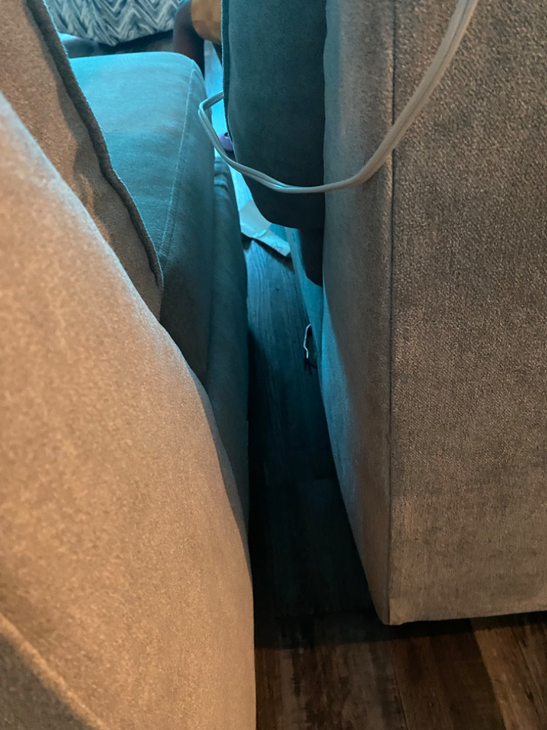 Second photo by Erin Brown of High Priority Movers - Large