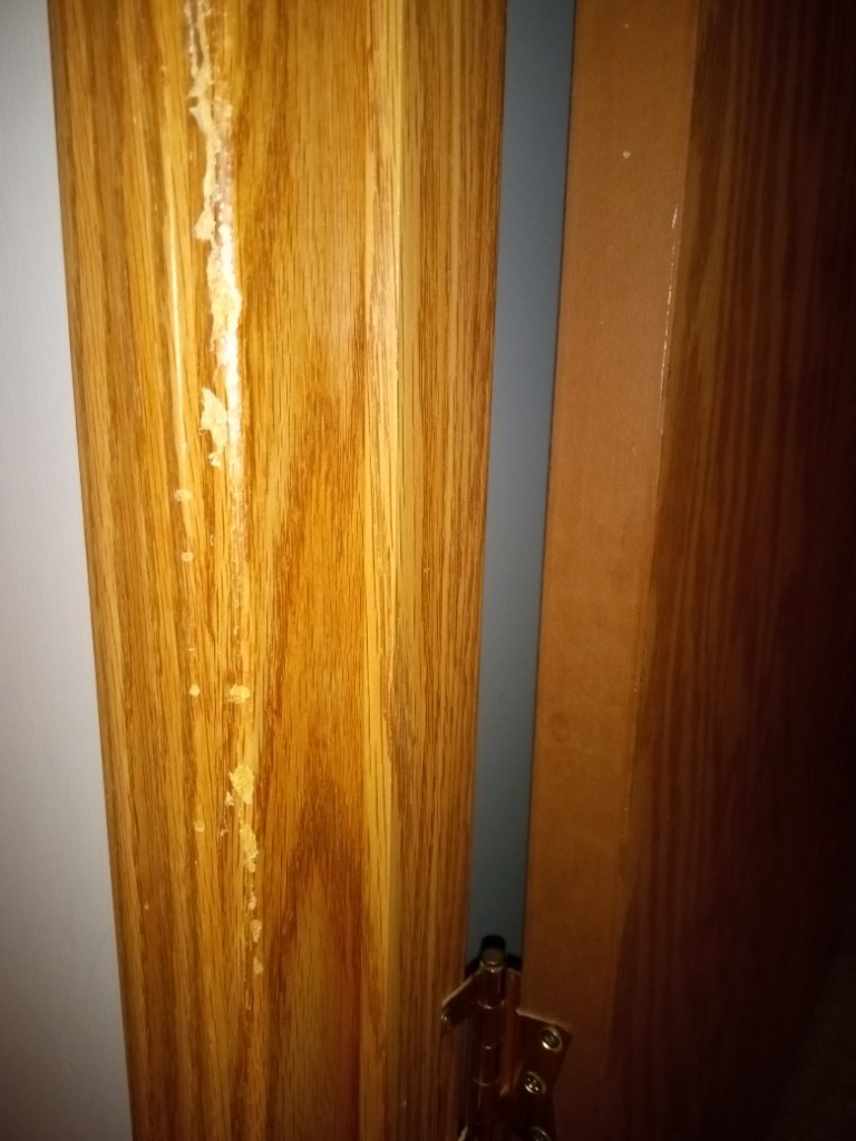 Second photo by Thomas Family of Kenway Moving - Large