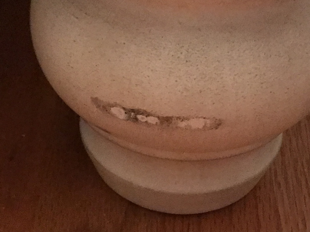 Photo by Lisa Hicks of Two Men and a Truck - Large