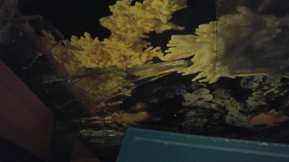 Photo by Olly of Canadian Van Lines - Large