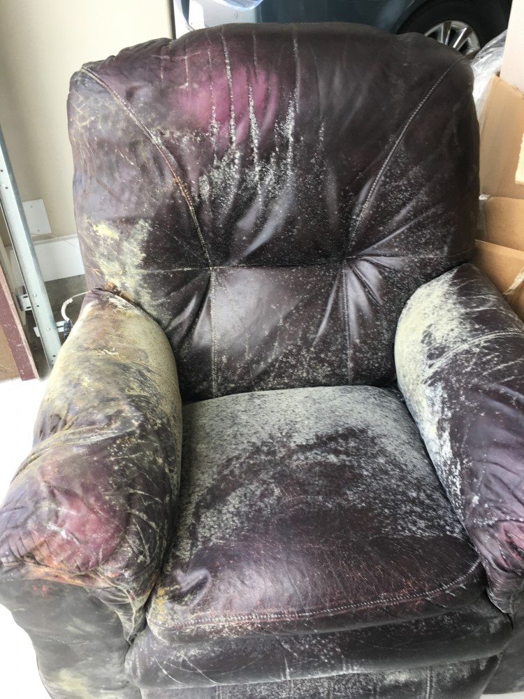 Photo by Phillip Webb of International Van Lines - Large