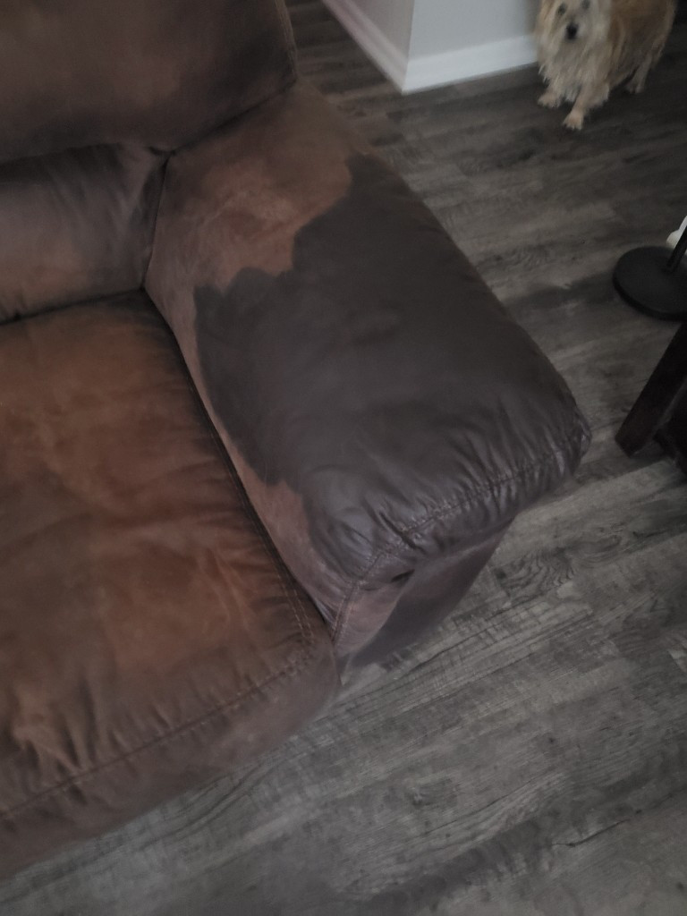 Second photo by Catrice Boothe of Mile High Van Lines - Large