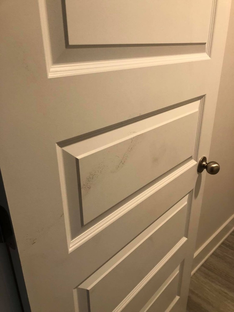 Photo by Lindey Kvinge of Safe Ship Moving Services - Large