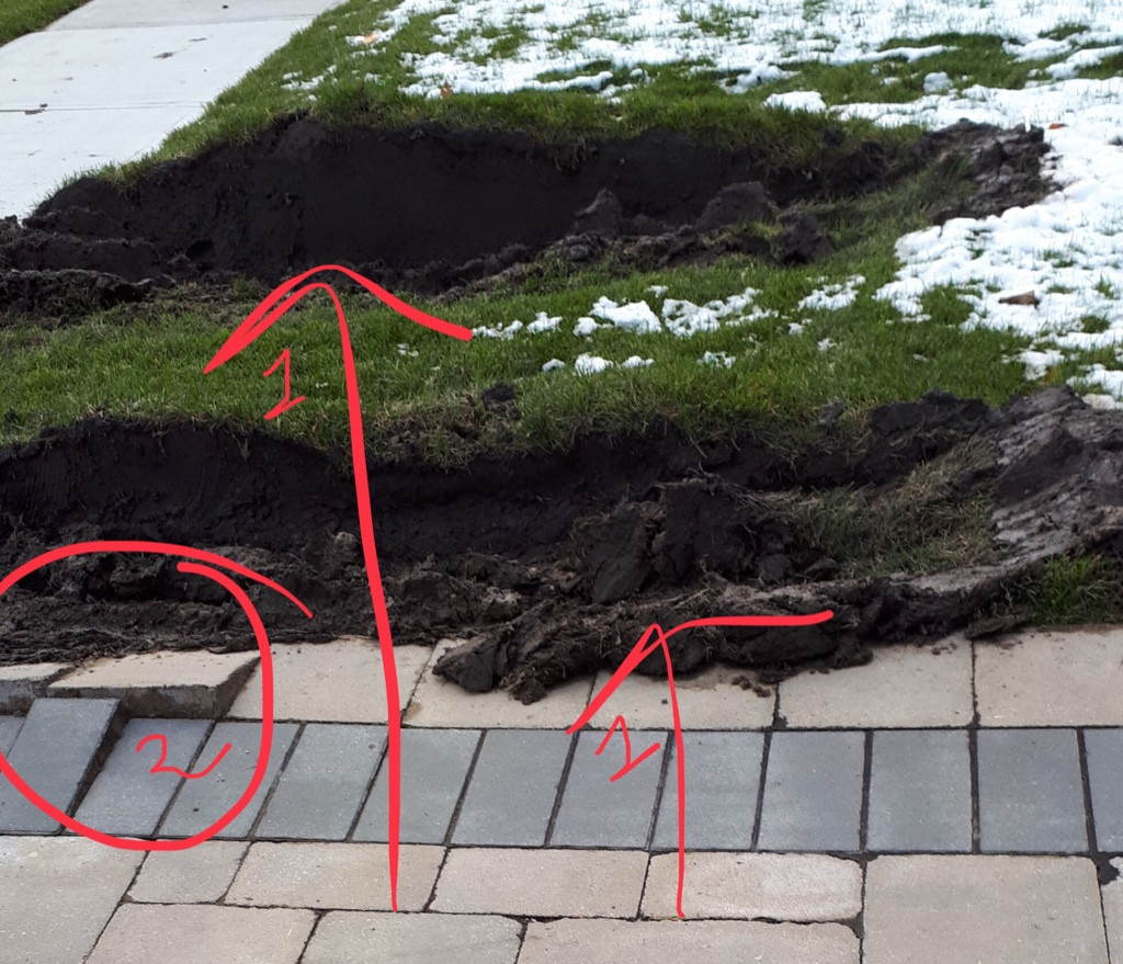 Photo by Wilma Shastry of Canadian Moving Systems - Large