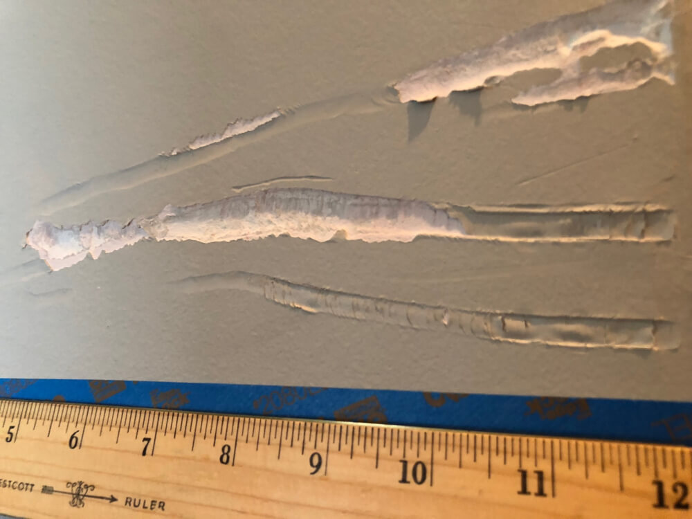 Photo by Jin Li of Square Cow Movers - Large