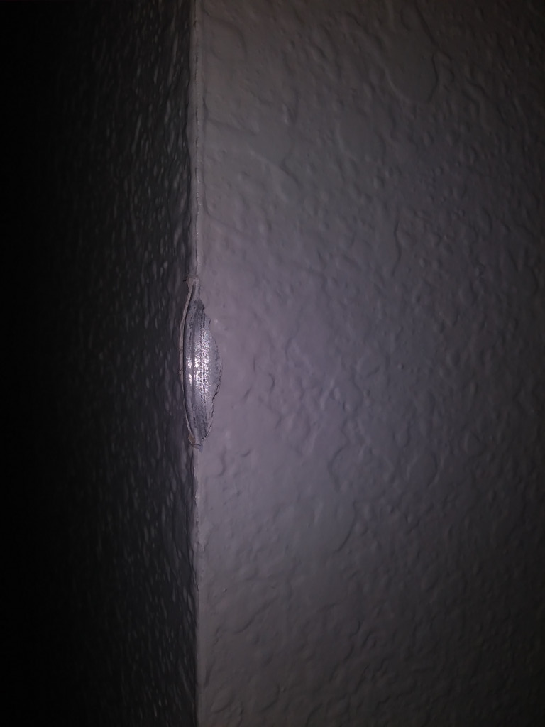 Second photo by Lindsey Luckett of Mega Man Movers LLC - Large