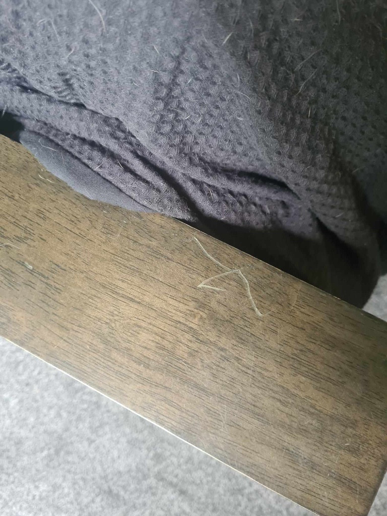 Second photo by Courtenay Brown of CBD Movers - Large