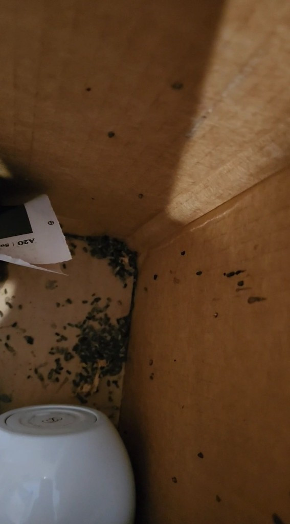 Photo by Judith Francis of Clutter Moving and Storage - Large