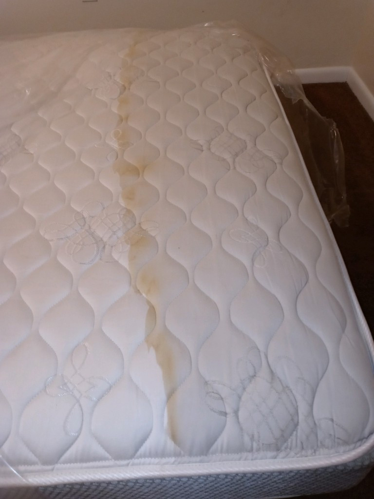 Second photo by Deanna Goulette of Blue Diamond Movers LLC - Large