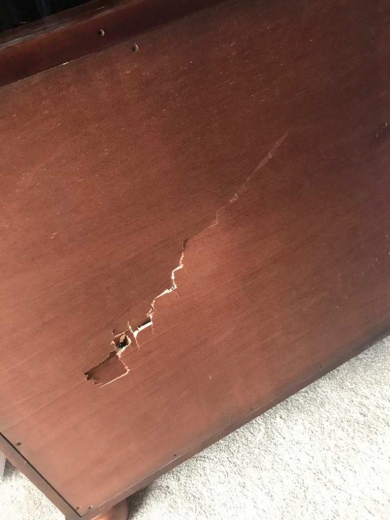 Photo by Andrea Alford of 2 Burley Men Moving - Large