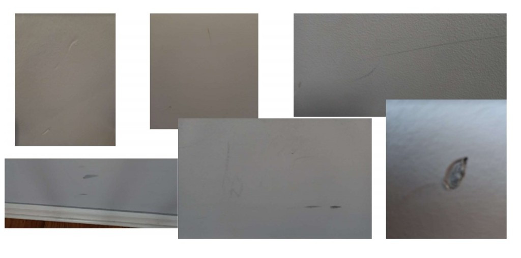 Photo by Kerry Watt of Dumbo Moving and Storage - Large