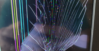 Thumbnail photo by Vanessa Helton of Sannah Van Lines Inc