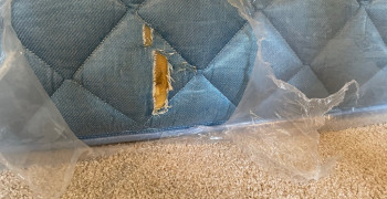 Thumbnail photo by Kelly Graeber of Safe Ship Moving Services