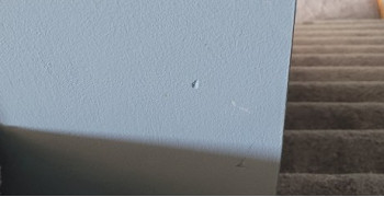 Thumbnail photo by Terrance Riley of Right A-Way Movers