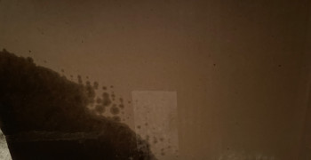 Second thumbnail photo by Mad Cat of Dumbo Moving and Storage