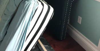 Thumbnail photo by Daenisha Fernandez of Dumbo Moving and Storage