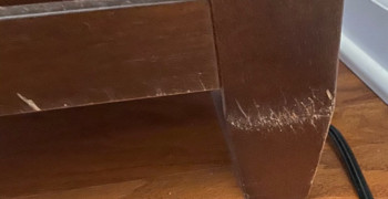 Second thumbnail photo by Mindy Robichaud of All My Sons Moving and Storage