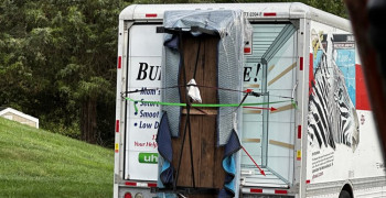 Thumbnail photo by Harold Callahan of MoveSafe Relocation