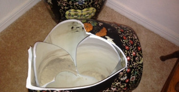 Thumbnail photo by Kay of U Pack