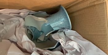 Thumbnail photo by Sarah Zhang of Trinity Relocation Group