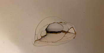 Thumbnail photo by Lou Henry of Alliance Van Lines inc.