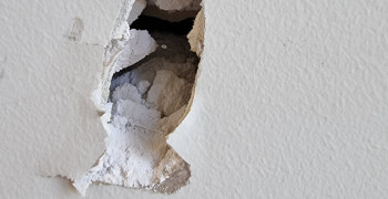 Thumbnail photo by John Quint of Ace Movers Pty Ltd