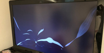 Second thumbnail photo by Clint Houston of Muscular Moving Men