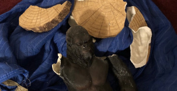 Second thumbnail photo by Felisa Moniquette of SH Movers Inc