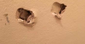 Second thumbnail photo by Dr Des Oliver of AnyVan