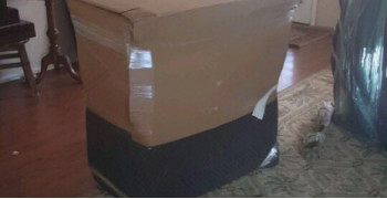 Thumbnail photo by Laura Classon of Traditional Express Van Lines