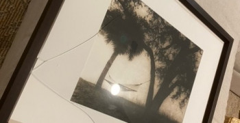 Second thumbnail photo by Haleigh Mccarthy of USA Logistics Moving