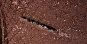 Second thumbnail photo by Justin W Green of Jackson Movers