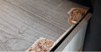 Thumbnail photo by Douglas E Contreras R of Pegasus Vanlines 