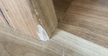 Thumbnail photo by Bassam Hallak of MyMoovers