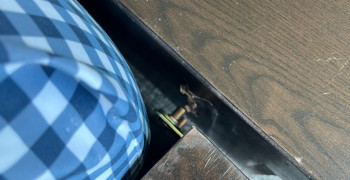 Second thumbnail photo by Jeff Konigbagbe of Eagle Moving Group Inc