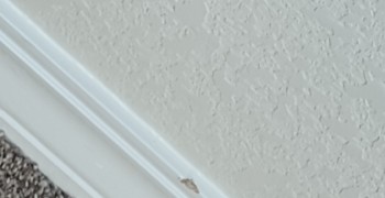 Second thumbnail photo by Peter Montalbano of Champion Movers