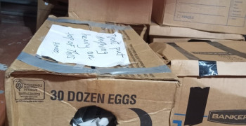 Thumbnail photo by Jain Sillaman of Don Farr Moving & Storage