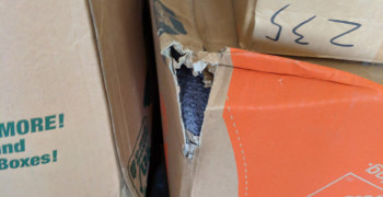 Second thumbnail photo by Christina Thomas of Oasis Moving and Storage