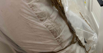 Second thumbnail photo by Mikalah Singer of Jet Moving And Storage