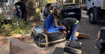 Second thumbnail photo by Susan Siegel of Safe Ship Moving Services