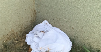 Thumbnail photo by Gillian S of Best Interstate Moving and Storage