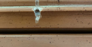 Second thumbnail photo by Linda A Murphy of Trinity Relocation Group