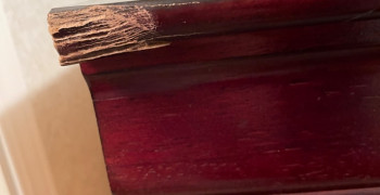 Second thumbnail photo by Dorothy Rayford of Trinity Relocation Group