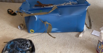 Second thumbnail photo by Stephanie Gill of Oasis Moving and Storage