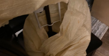 Thumbnail photo by Kevin Banks of CalState Moving