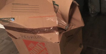 Thumbnail photo by Megan of Supreme Moving and Storage