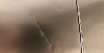 Thumbnail photo by Jess Wolbers of MyMoovers